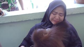 Indonesia giải cứu đười ươi từ nhà người dân