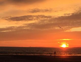 Sunset over a beach