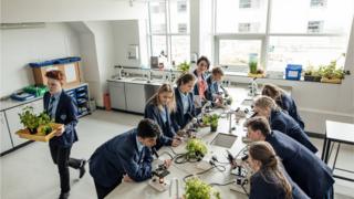 Children in science class looking down microscopes