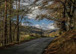 Tweed Valley