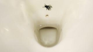 toilet bowl with fly etched on