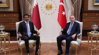 تميم بن حمد وأردوغان