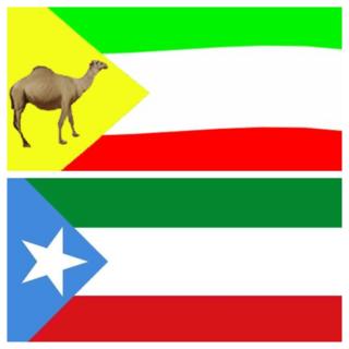 ነባር ሰንደቕ ዕላማ ክልል ሶማሌ ክምለስ ተወሲኑ
