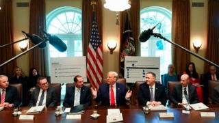 Trump at a cabinet meeting