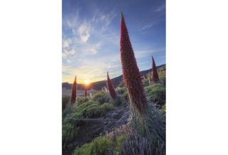 National Park Kings - Senen Medina / www.igpoty.com