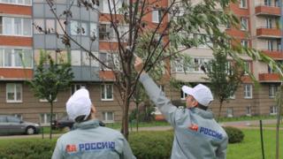Волонтеры Всероссийского народного фронта находят ветки на деревьях в Санкт-Петербурге