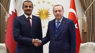 أردوغان يستقبل أمير قطر في المجمع الرئاسي بأنقرة