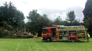 fire engine at golf course