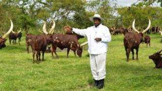 Museveni oo lo'diisa la joogo