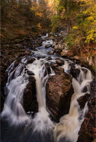 Stream at the Hermitage in Dunkeld