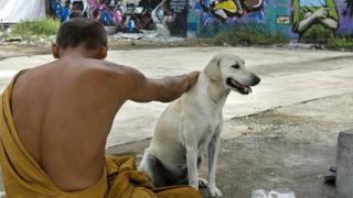 Un prêtre bouddhiste avec son chien, dans une rue de Bangkok (illustration).