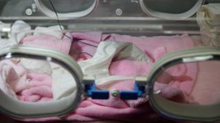 Baby giant panda twins in an incubator