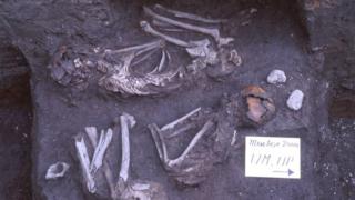 Anatolian Neolithic specimen