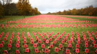 The Centenary Field of Thanks at the National Memorial Arboretum, Alrewas, Staffordshire
