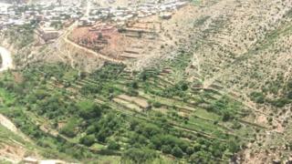 ኢሮብ