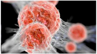 Cancerous cells