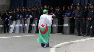 Protester, carrying a placard and a flower, stands in front of a long line of police officers