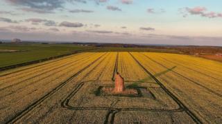 Field