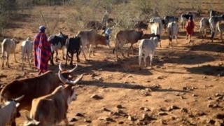 Arewacin Kenya