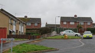 Ballinahone Close