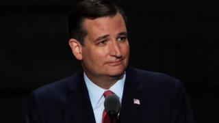 Ted