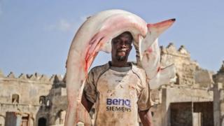 A Somali fisherman whose T-shirt aptly reads "Extra Large" carries a shark on his shoulder to the Hamarweyne fish market near the port in Mogadishu.