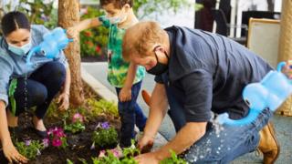 Prince Harry and Meghan plants flower in LA