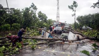 ঘূর্ণিঝড়ে গাছ পড়ে বন্ধ কক্সবাজারের সড়ক।