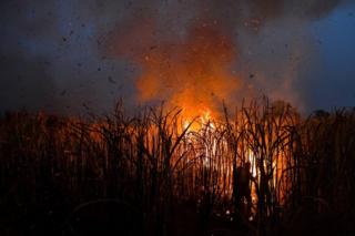 Farmer burns a sugar cane field at night as local growers try to avoid arrest by authorities who banned on the practice to curb smog in Suphan Buri province