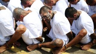 Miembros de la Mara Salvatrucha 13 en El Salvador.