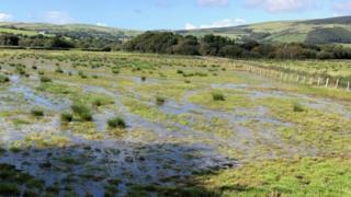 Caeau dan ddŵr, Dyffryn Dysynni