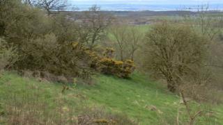 Saline, Fife