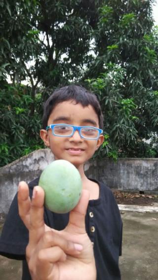 दीघा आम