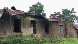 ጎሬ