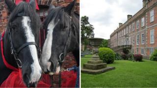 Shire horses Jim and John and Erddig house