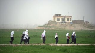 نجونې