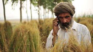 India farmer dey for field dey make call for phone