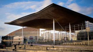 Senedd