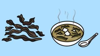 Ilustração de wakame