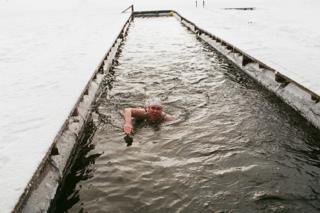 Моржи