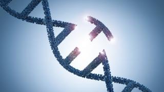 A técnica de edição genética CRISPR