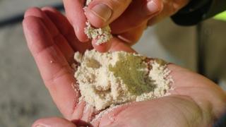 Tiny pellets of calcium carbonate