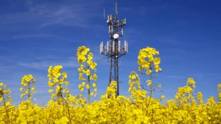 Mobile mast with rape seed field in foreground
