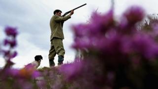 A gamekeeper on moorland in Scotland