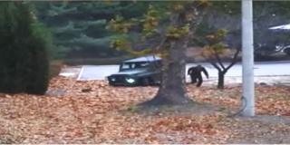 유엔사가 공개한 오씨의 극적인 탈출 장면