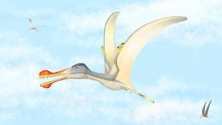 An illustration of a pterosaur released by scientists at the University of Portsmouth in the UK on Saturday 28 March 2020