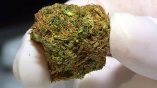 Ganja