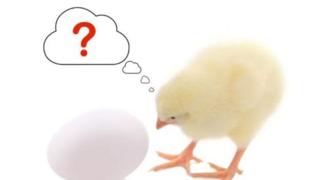 પહેલાં મરઘી કે ઈંડું?