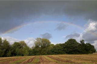 Rainbow over a field