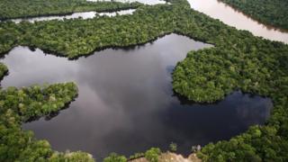 Amazonía